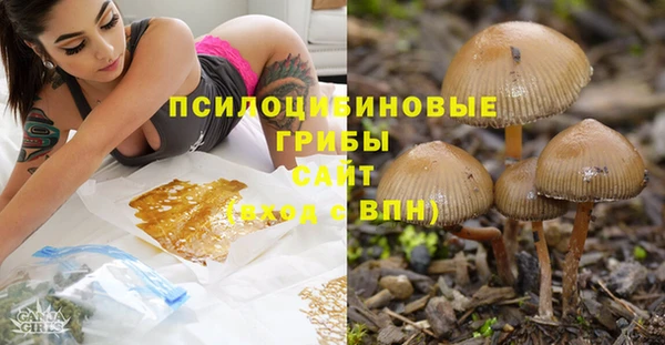 mdpv Абинск
