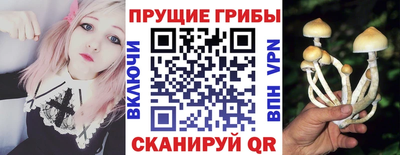 MEGA как зайти  Лакинск  Псилоцибиновые грибы мухоморы 